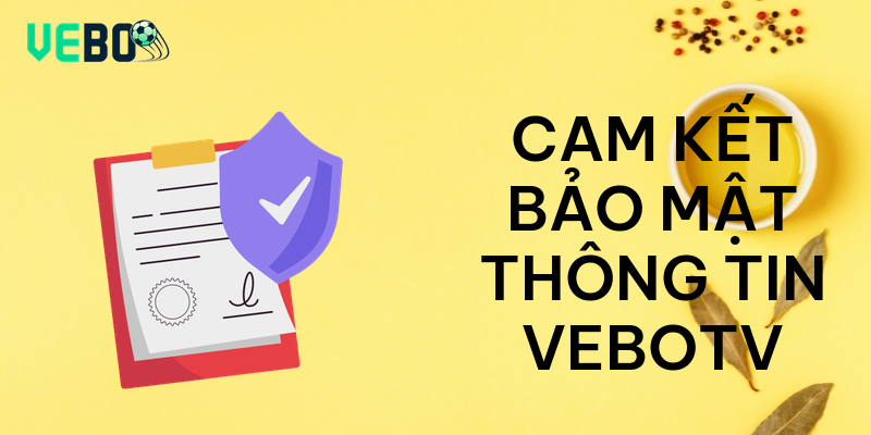Cam kết bảo mật thông tin vebotv